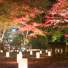 室生寺　紅葉　夜1