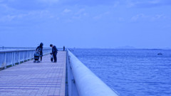 琵琶湖　1