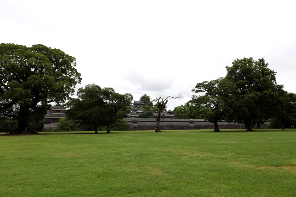 熊本城