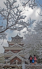 雪景色の鯉城
