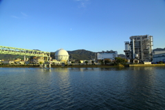 お散歩写真