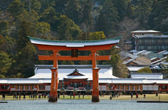 2015年元旦今年もよろしく！