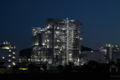お散歩写真