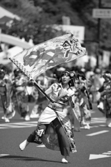 フラワーフェスティバル