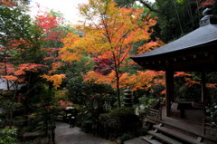 三瀧寺（みたきでら）