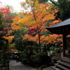 三瀧寺（みたきでら）
