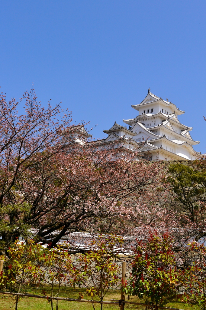 姫路城散策