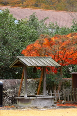 閑谷学校