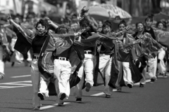 フラワーフェスティバル