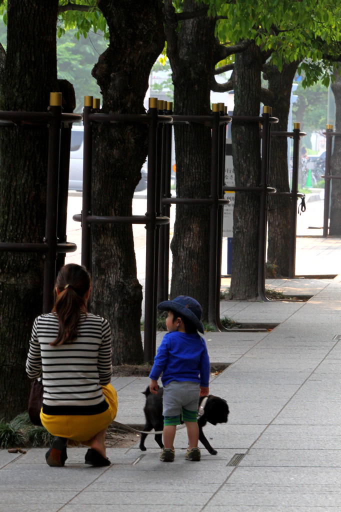 ママとわんこでお散歩