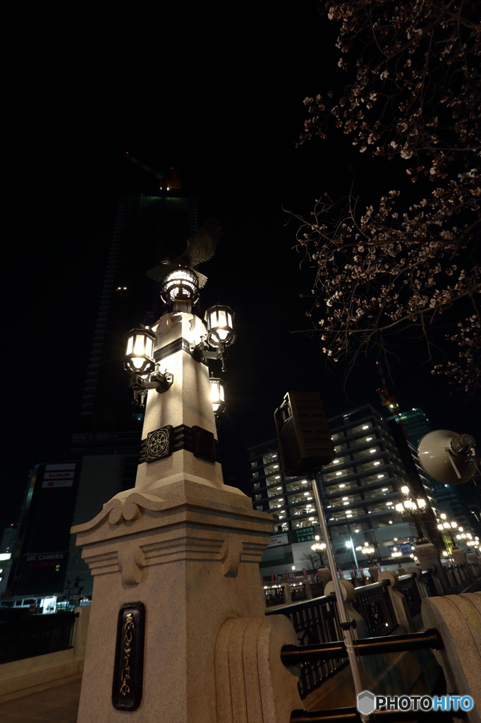 猿猴橋復元・点灯式