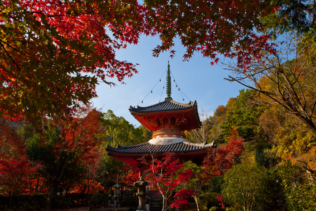 三瀧寺