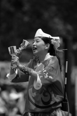 フラワーフェスティバル