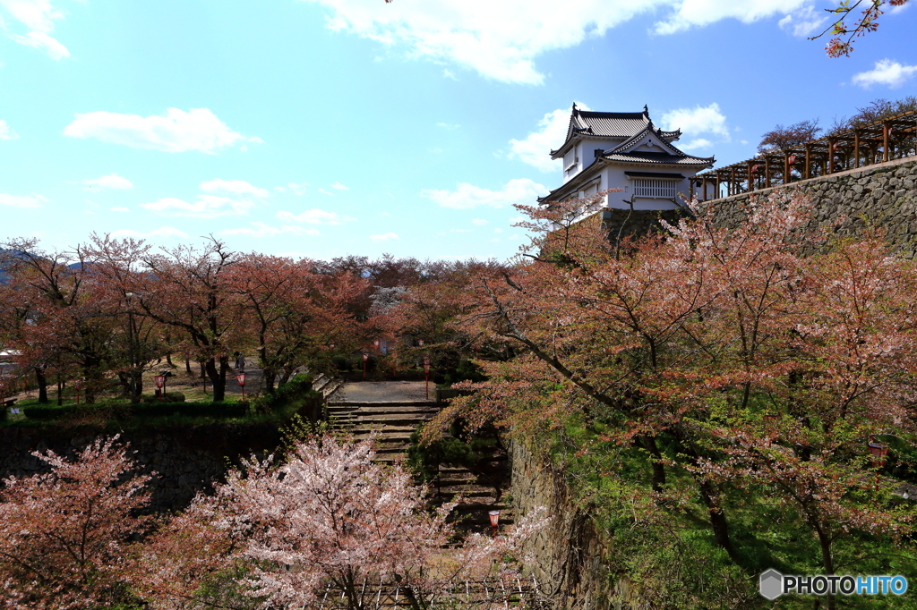 津山城跡鶴山公園