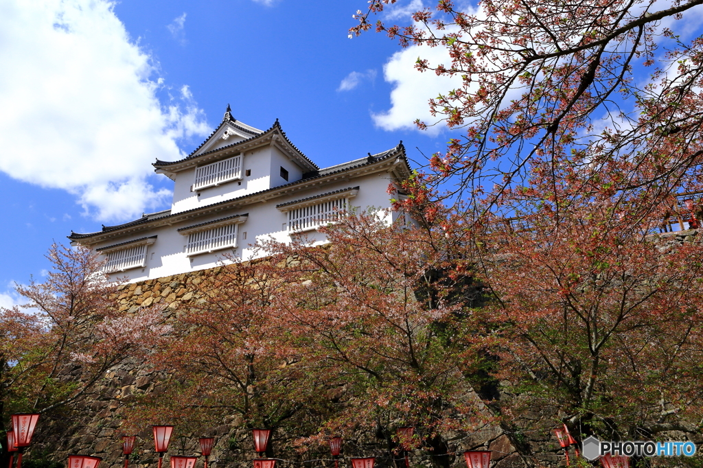 津山城跡鶴山公園
