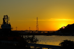 お散歩写真