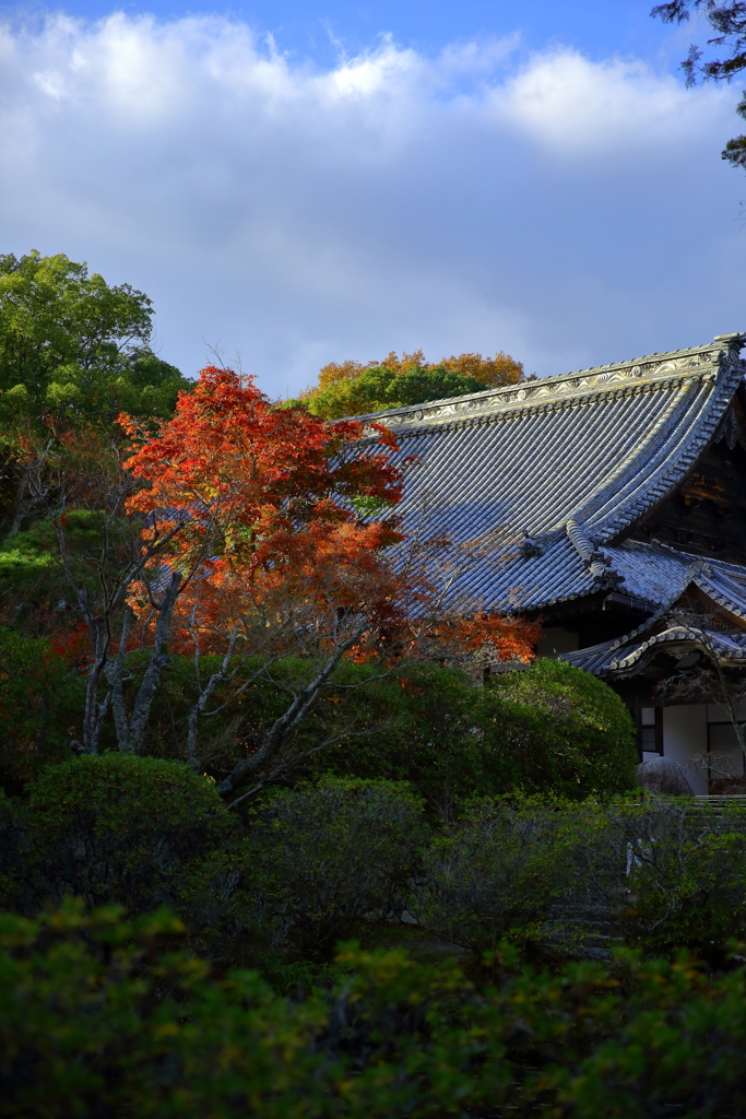 宝福寺