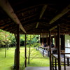 高桐院