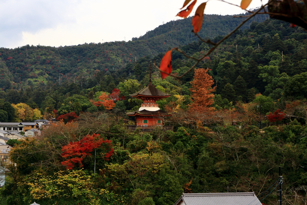 宮島散策