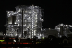 お散歩写真