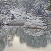 名勝縮景園