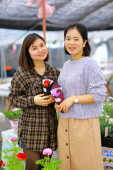 いちごランド・　Phùng Thị Lan さんTâm さん