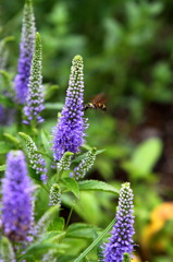 梅雨の晴れ間に！