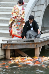 鯉も盛り上る二人