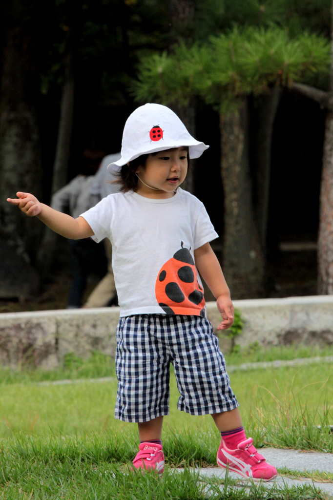 幼き秋の心もよう～～～⊂(*＾(ェ)＾*)⊃♪ 