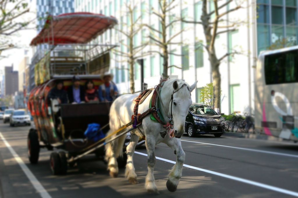 馬車は軽車両として扱われる。