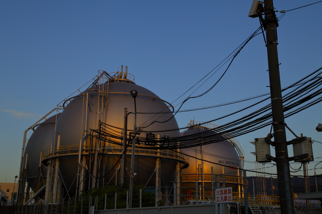 お散歩写真