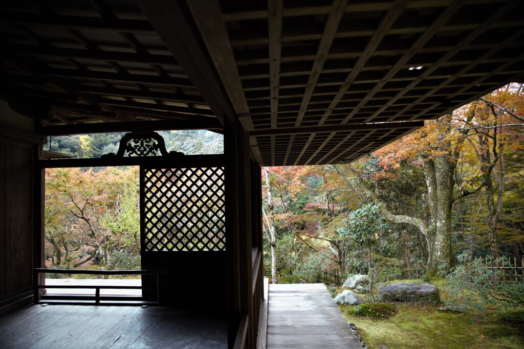 栂野山　高山寺