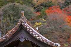 閑谷学校