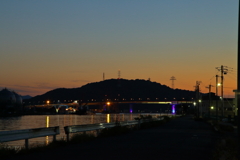 お散歩写真