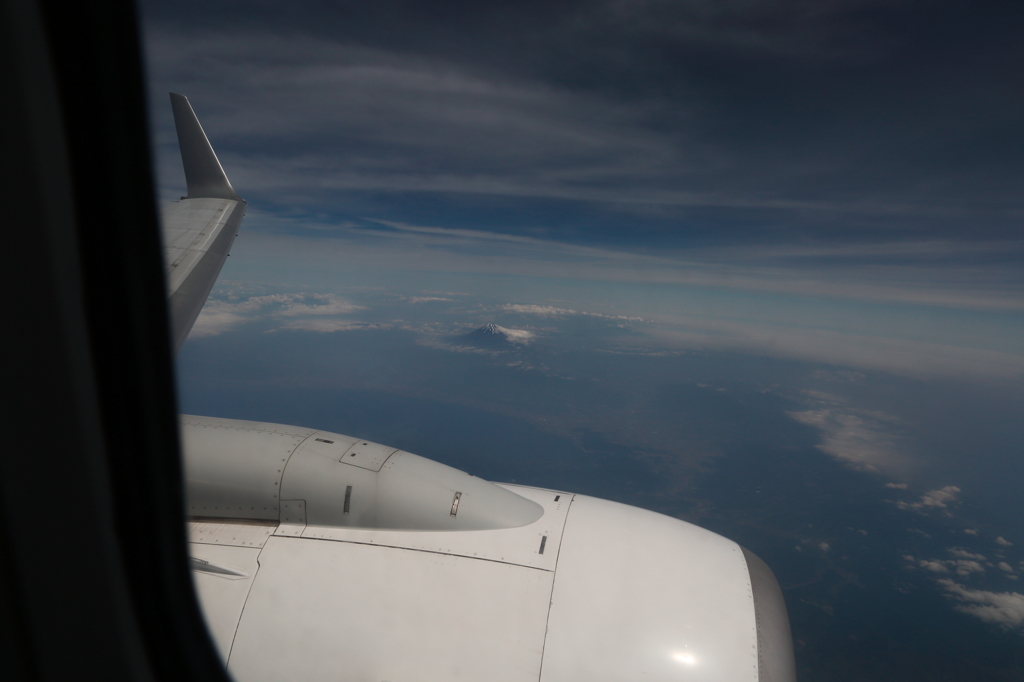 眺めることが出来ました！