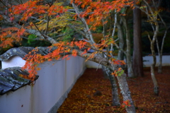 宝福寺