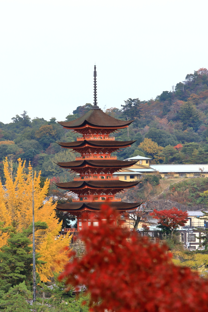 安芸の宮島