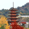 安芸の宮島