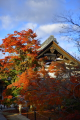 宝福寺