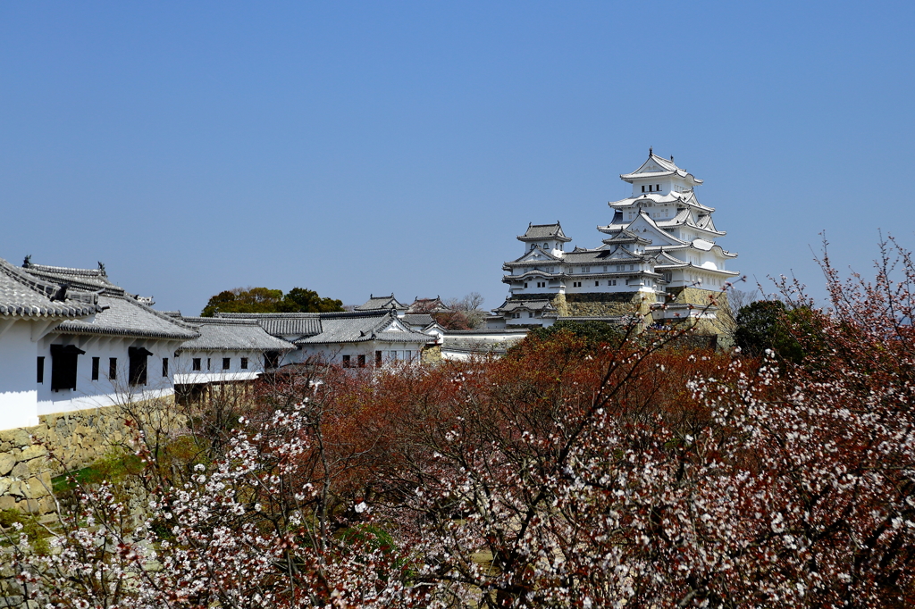 姫路城散策