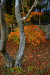 宝福寺