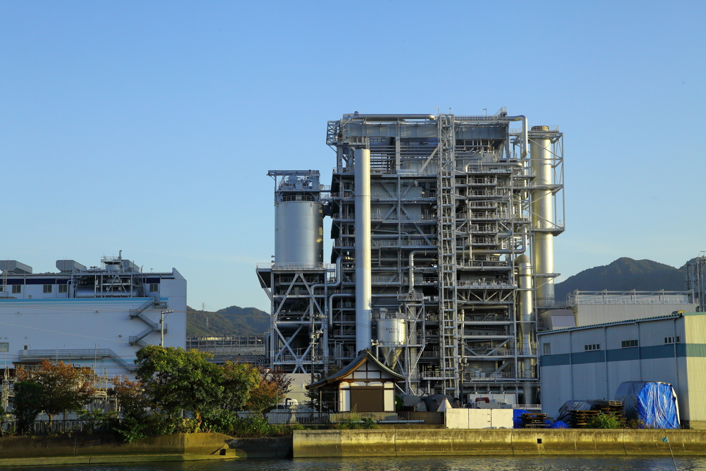 お散歩写真