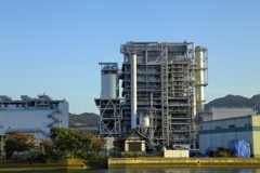お散歩写真