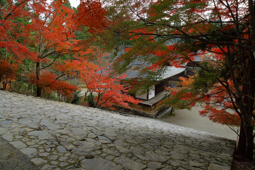 高雄山　神護寺