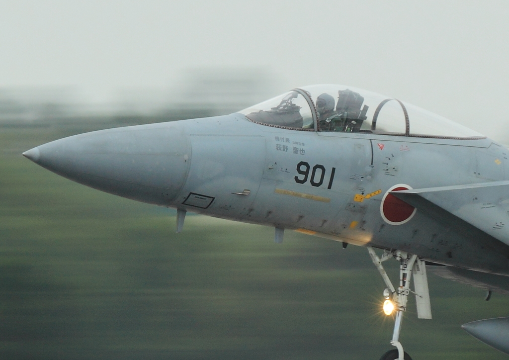 F15