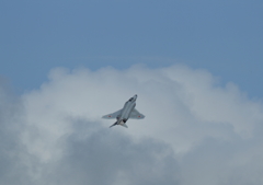 ファントムと雲