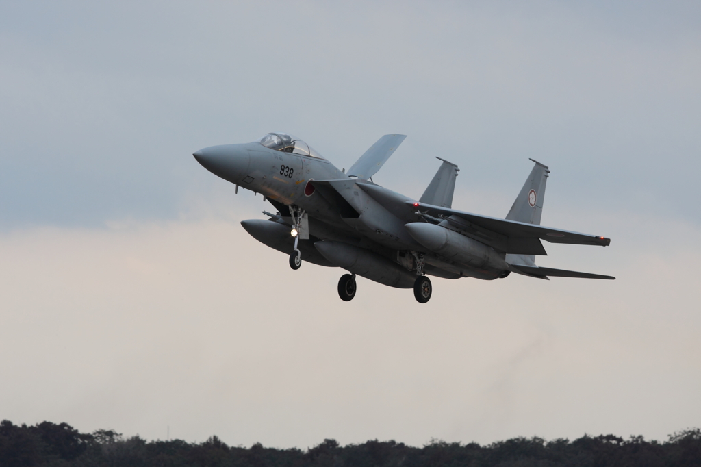 F15