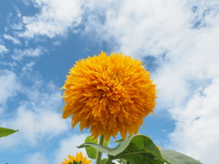 P7280180