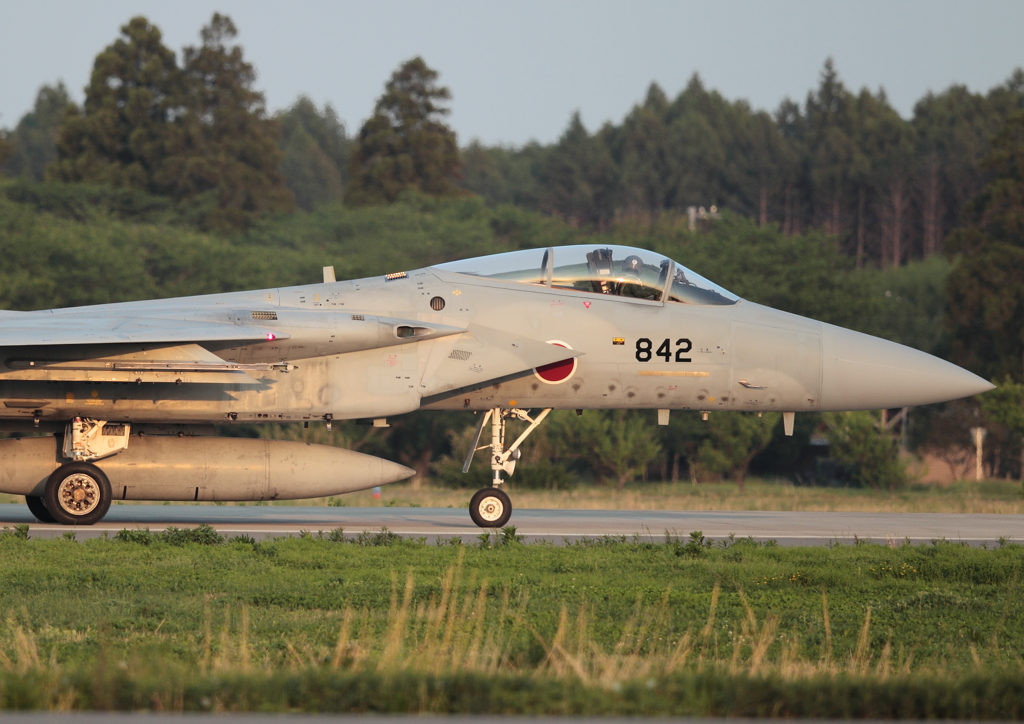 F15