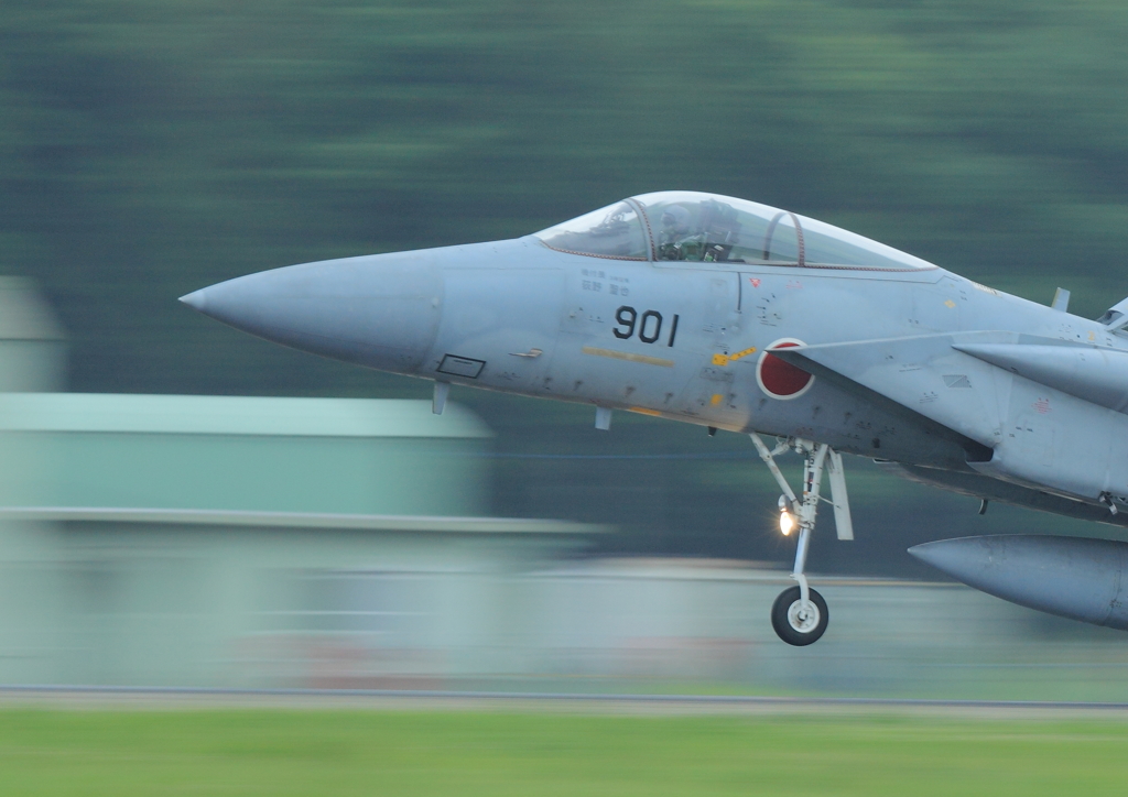 F15